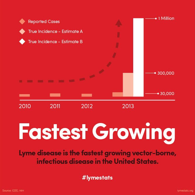 Lyme Disease Chart Fastest Growing Epidemic